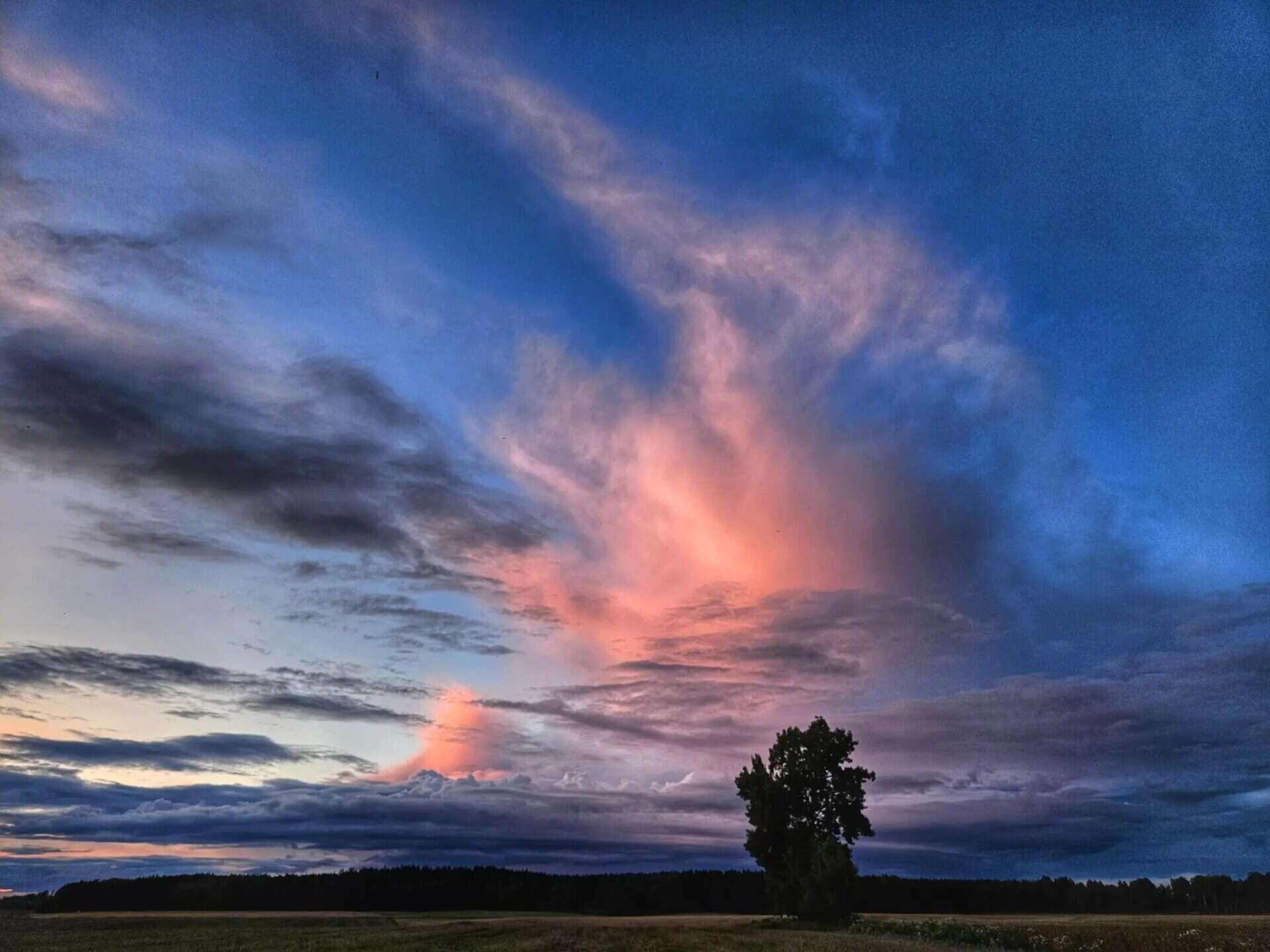 Solnedgang over åpent landskap — foto av Tussilago Coaching